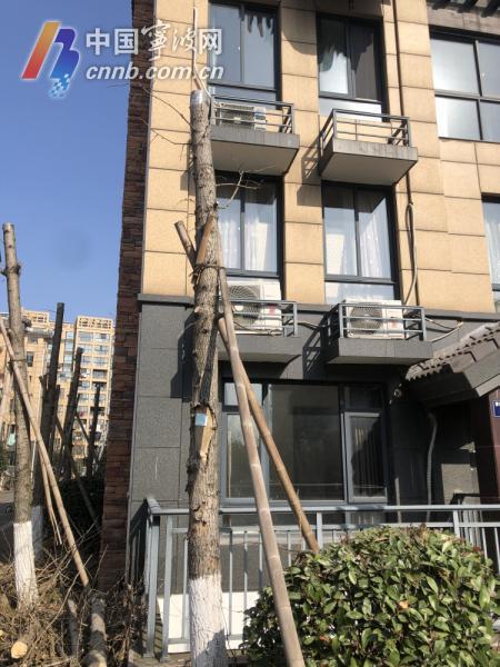 宁波小区最新爆料,业主爆料，真相令人震惊！  第2张